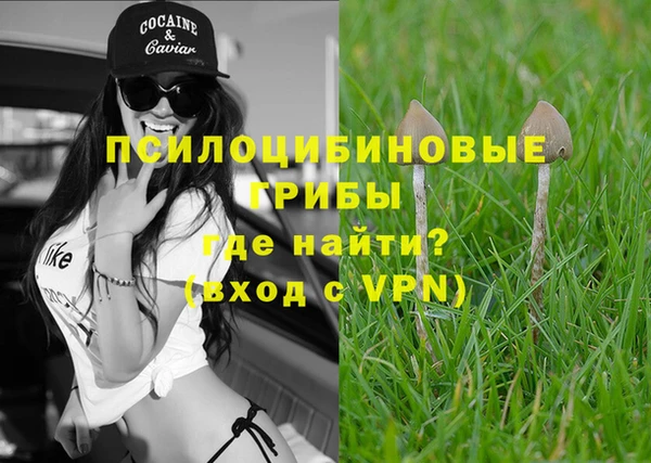 ПСИЛОЦИБИНОВЫЕ ГРИБЫ Алзамай