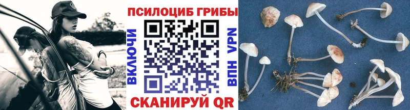 цены наркотик  площадка как зайти  Псилоцибиновые грибы ЛСД  Крымск 